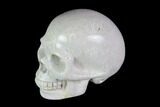 Realistic, Polished Fossil Coral Skull #116572-1